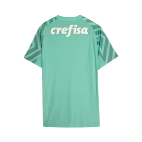 Camisa SE Palmeiras Goleiro 2024/25 Away